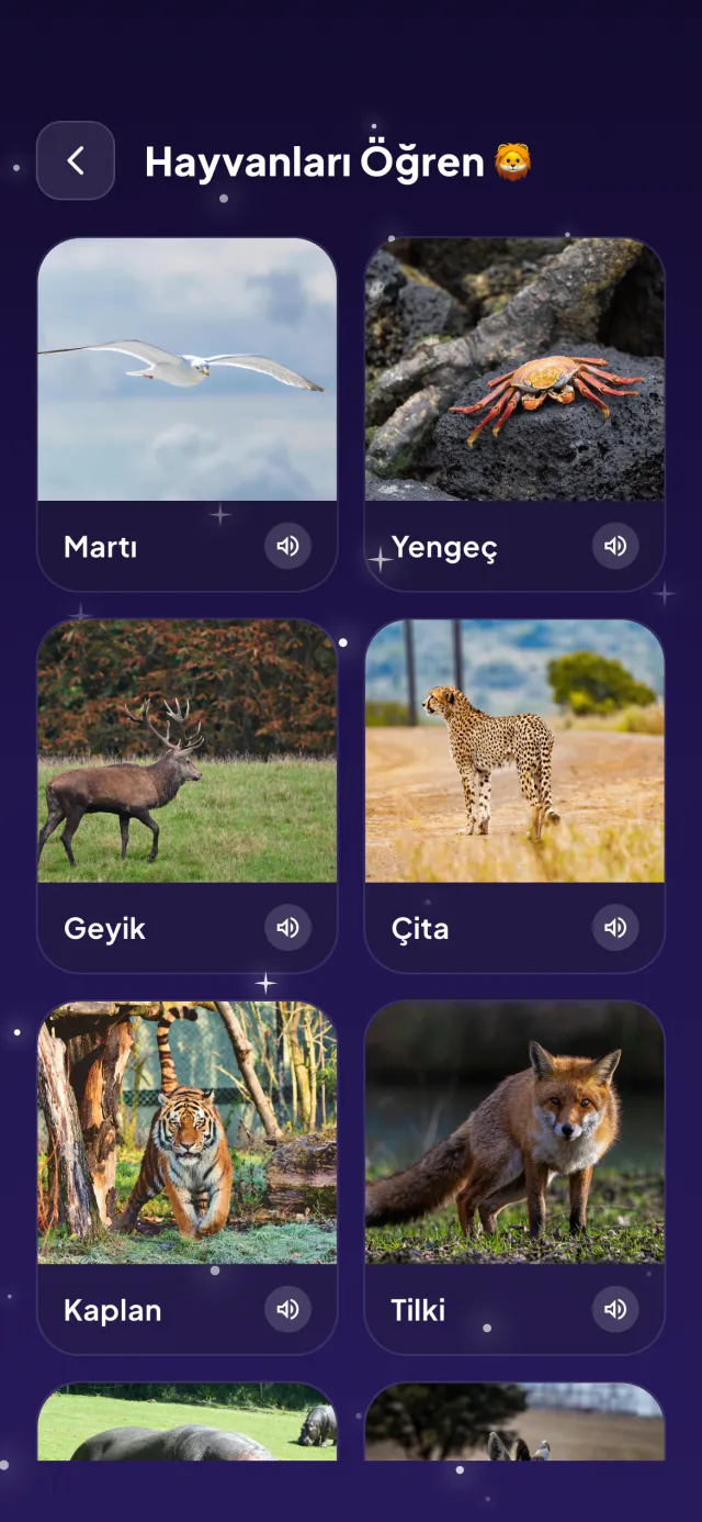 Hayvanları Öğren ekranı
